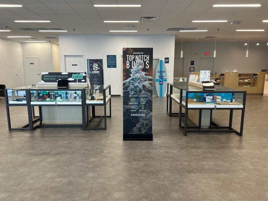 Curaleaf Dispensary Jensen Beach - Jensen Beach, FL