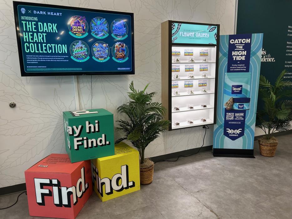 Curaleaf Dispensary Jensen Beach - Jensen Beach, FL