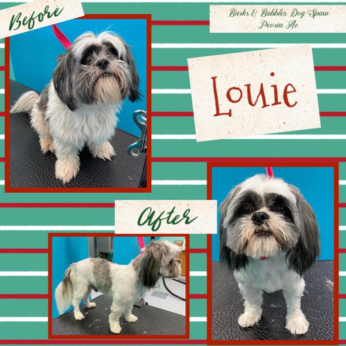 Barks & Bubbles Dog Spaw - Peoria, AZ