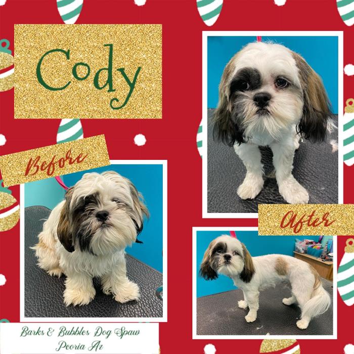 Barks & Bubbles Dog Spaw - Peoria, AZ