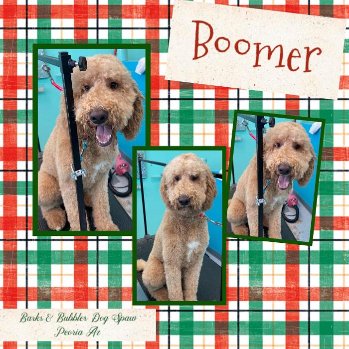 Barks & Bubbles Dog Spaw - Peoria, AZ