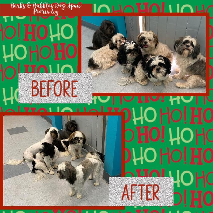 Barks & Bubbles Dog Spaw - Peoria, AZ