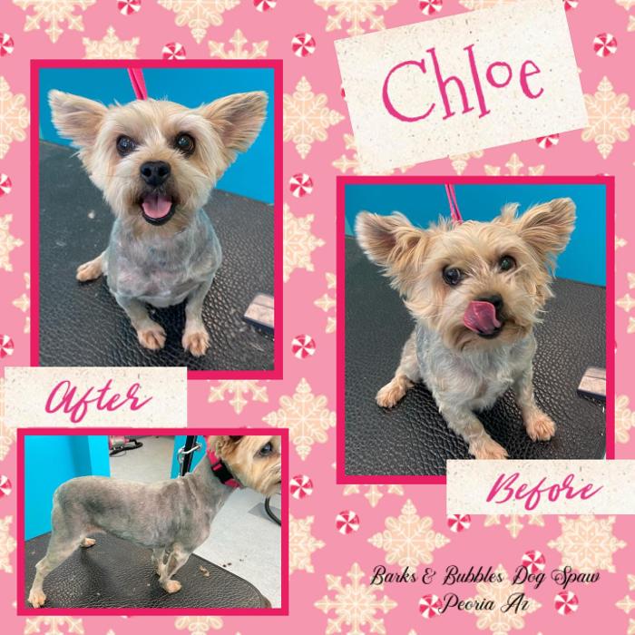 Barks & Bubbles Dog Spaw - Peoria, AZ