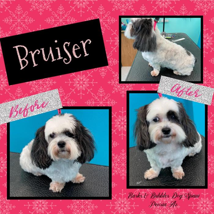 Barks & Bubbles Dog Spaw - Peoria, AZ