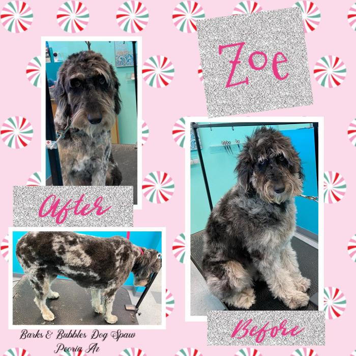 Barks & Bubbles Dog Spaw - Peoria, AZ