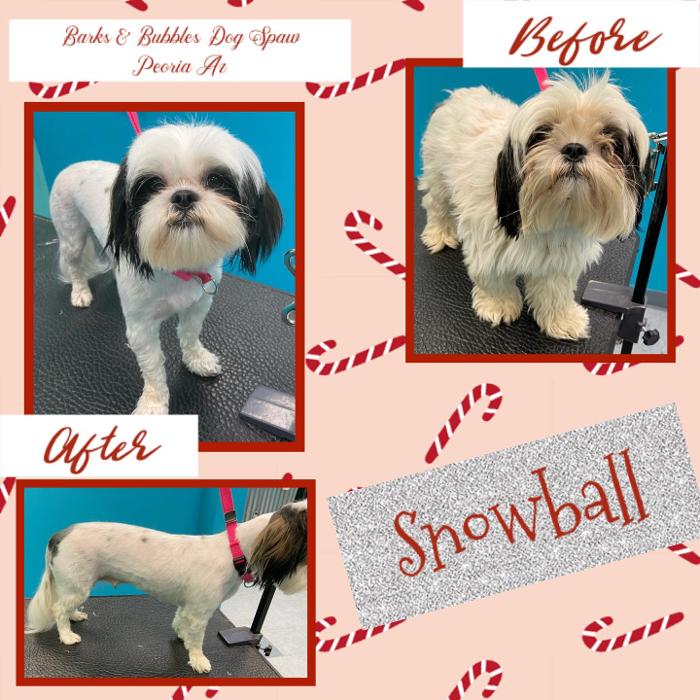 Barks & Bubbles Dog Spaw - Peoria, AZ