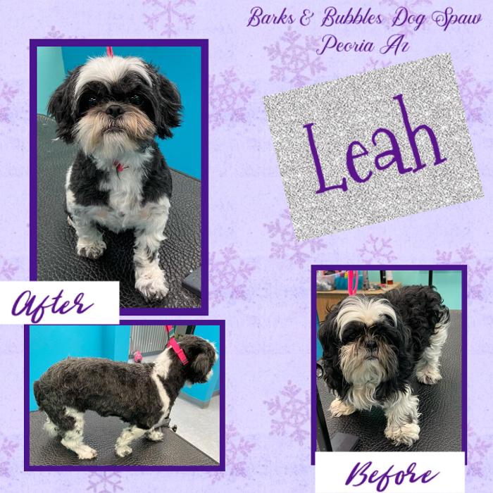 Barks & Bubbles Dog Spaw - Peoria, AZ