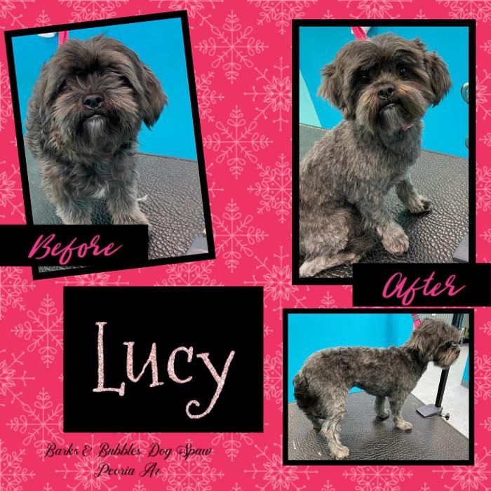 Barks & Bubbles Dog Spaw - Peoria, AZ