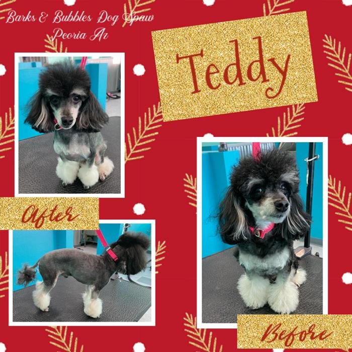 Barks & Bubbles Dog Spaw - Peoria, AZ