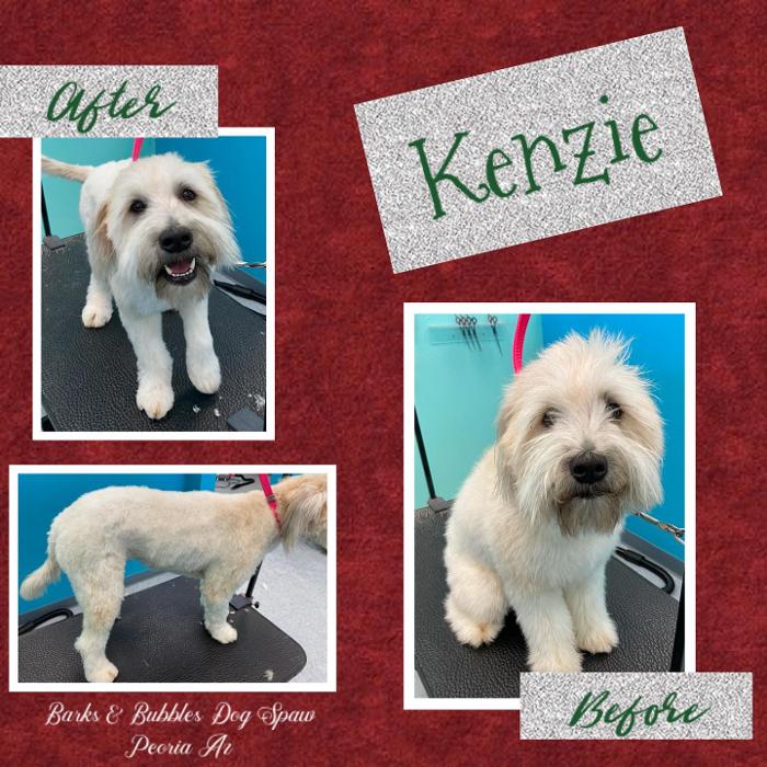 Barks & Bubbles Dog Spaw - Peoria, AZ