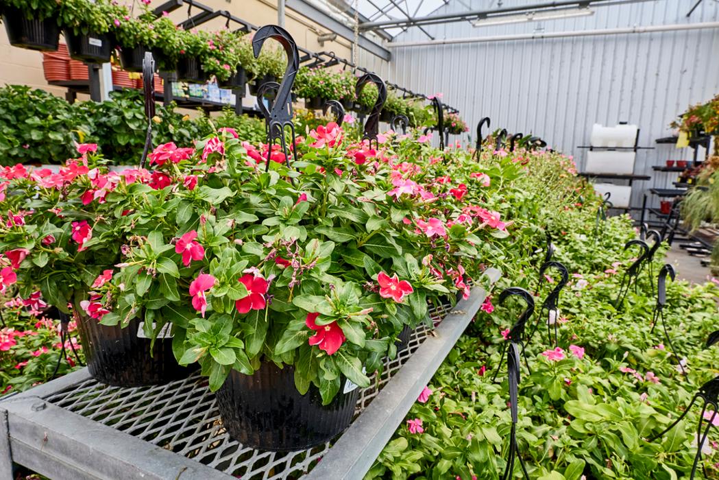 Tractor Supply Co. Image