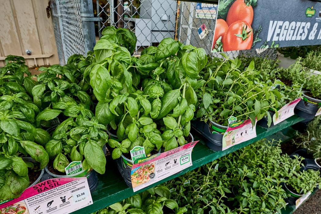 Tractor Supply Co. Image