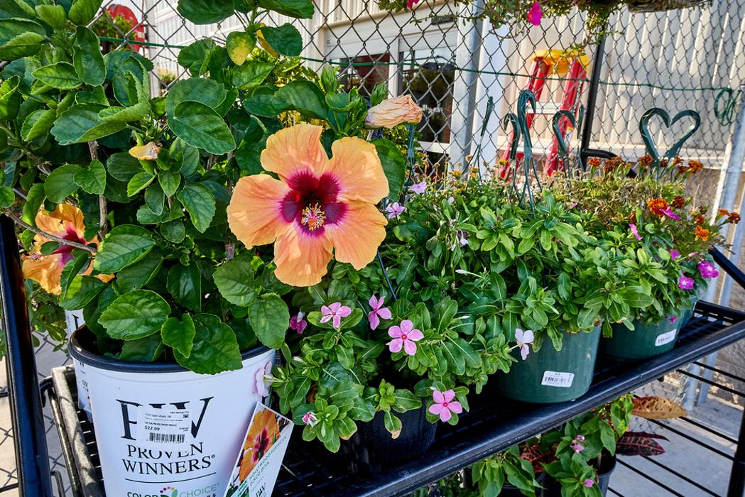 Tractor Supply Co. Image