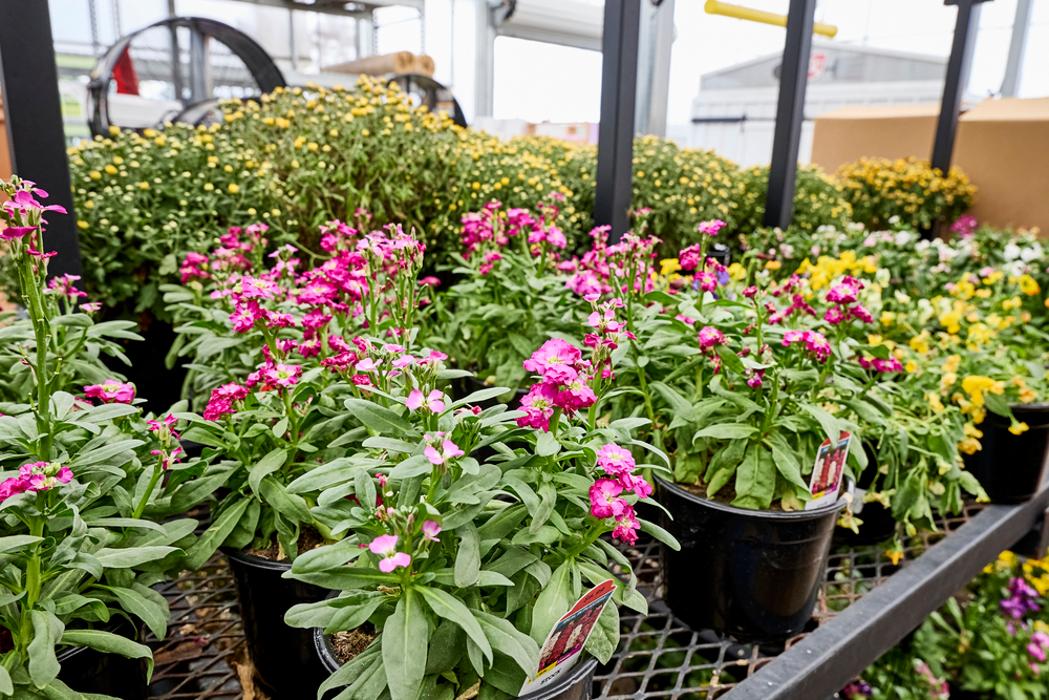 Tractor Supply Co. Image