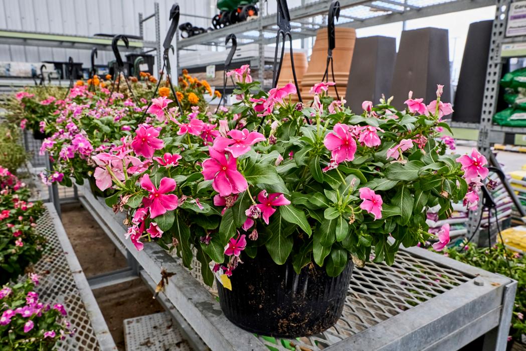 Tractor Supply Co. Image