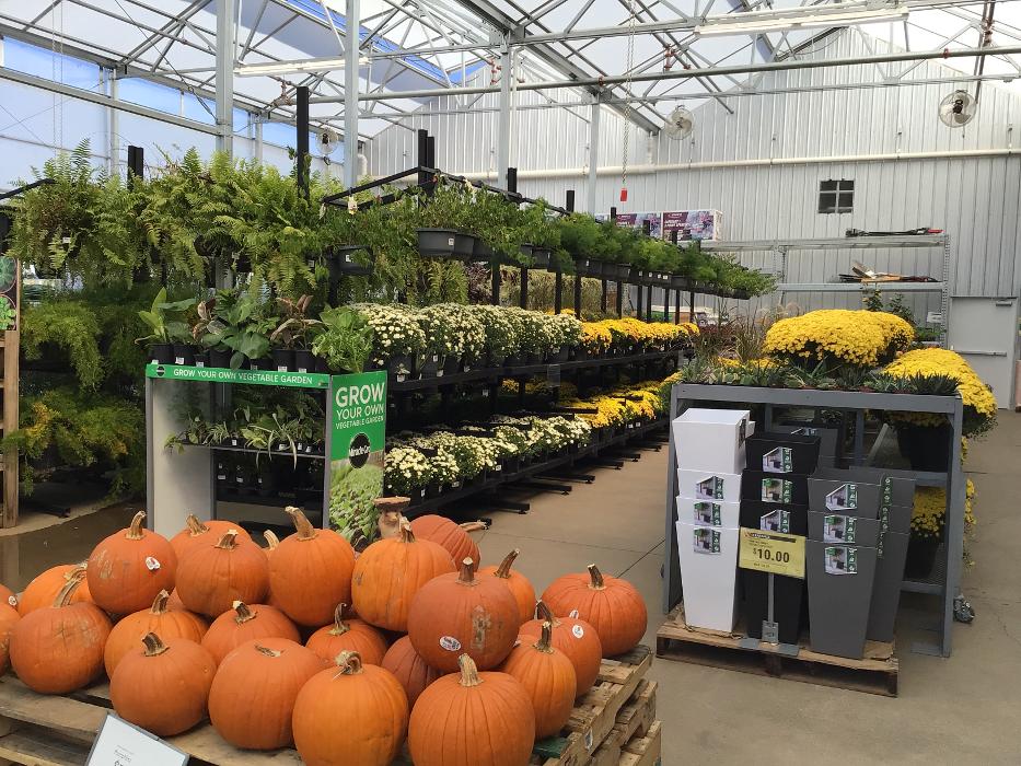 Tractor Supply Co. Image