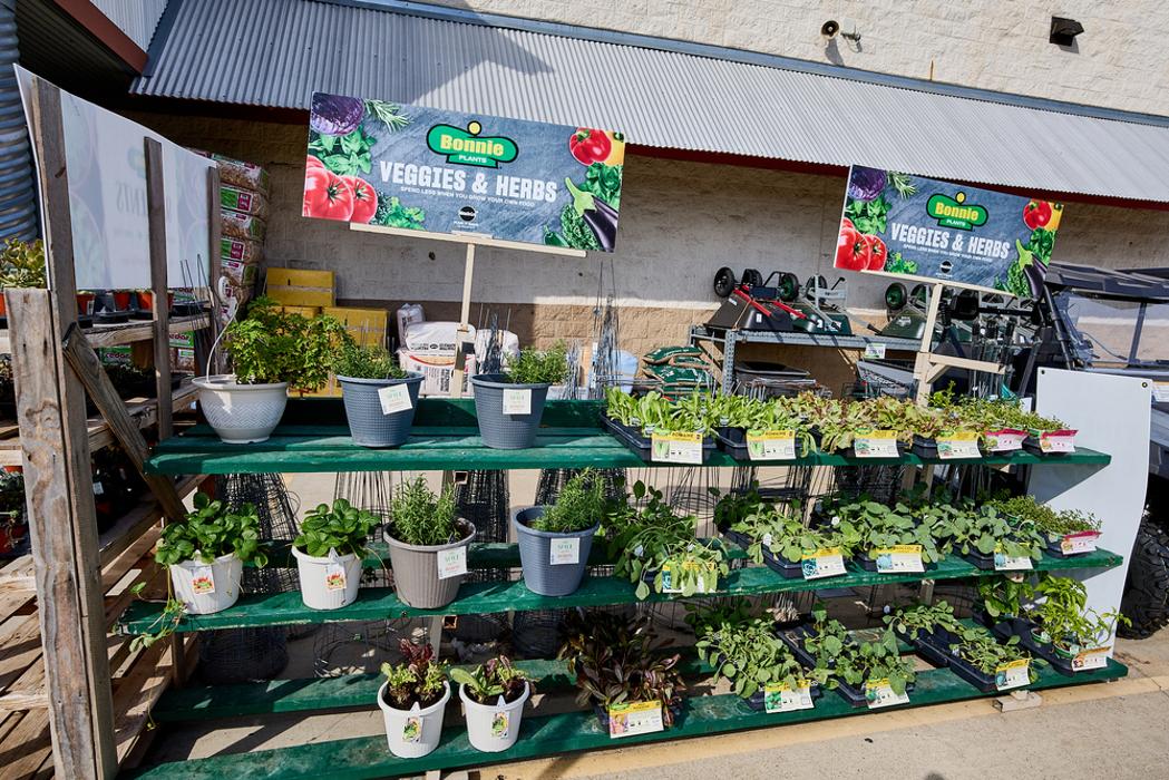 Tractor Supply Co. - Cuero, TX