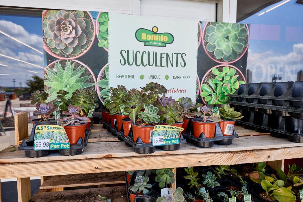 Tractor Supply Co. Image