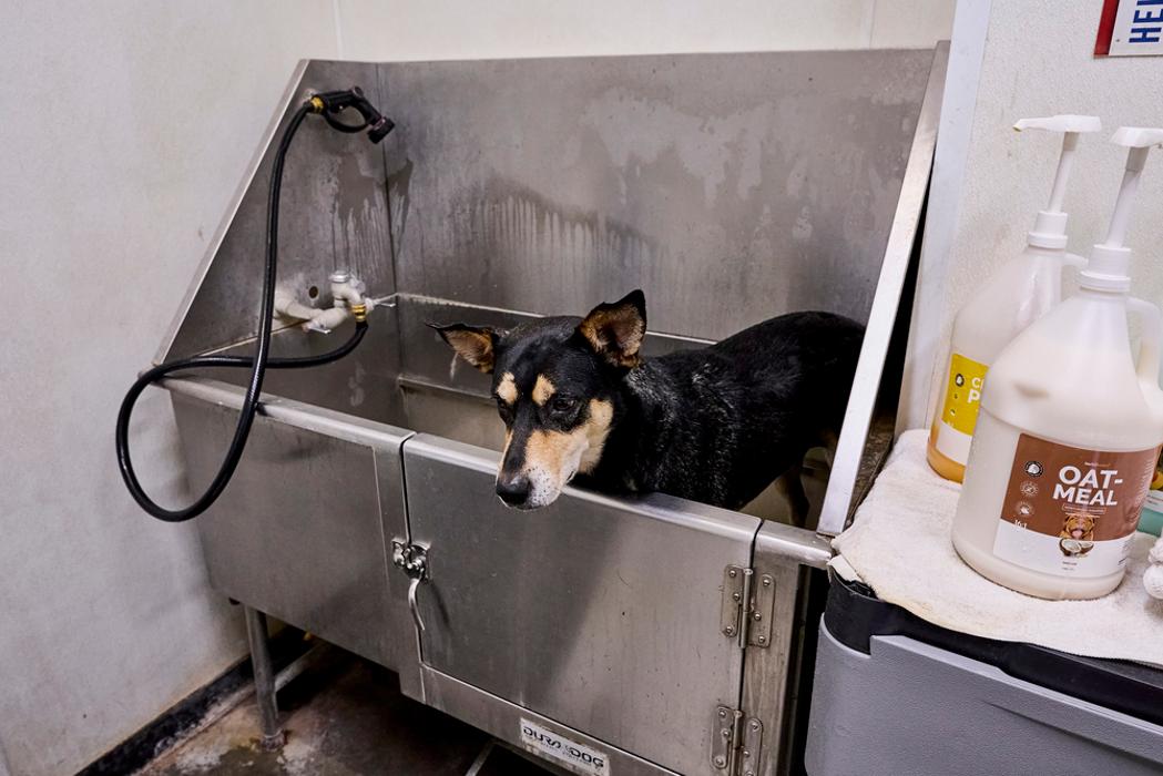 Tractor Supply Co. Image