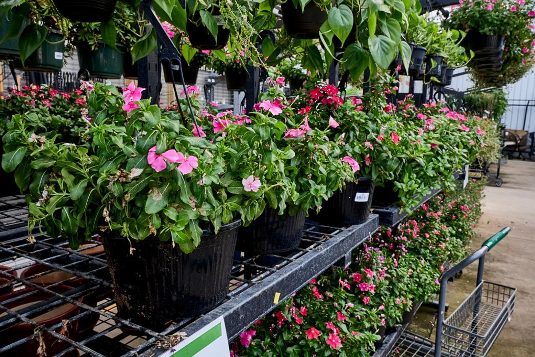 Tractor Supply Co. Image