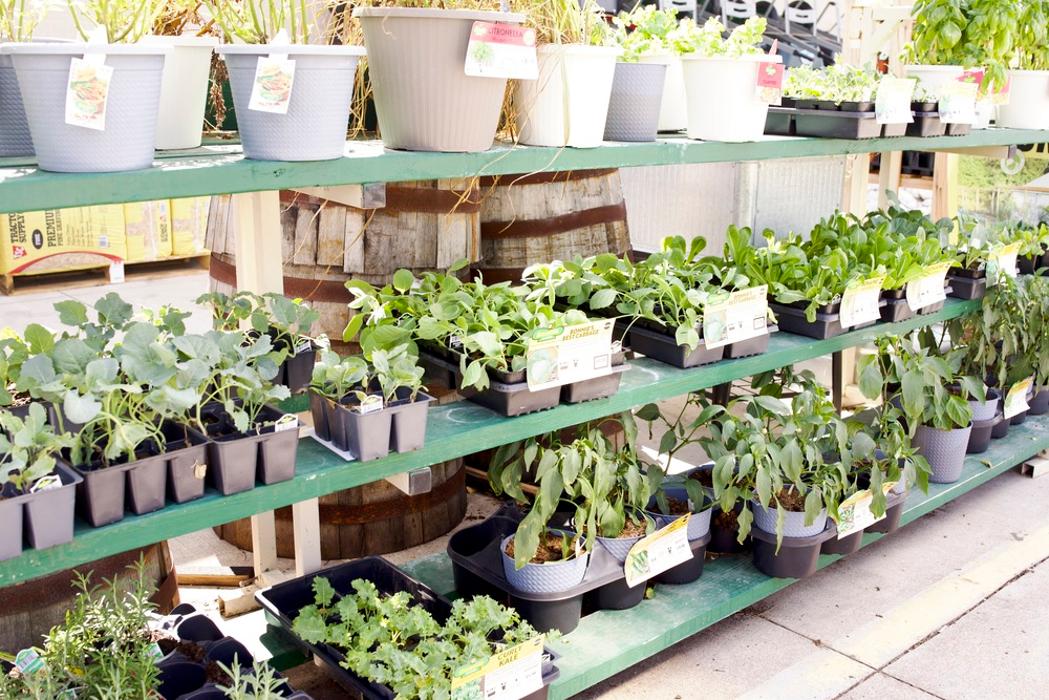 Tractor Supply Co. Image