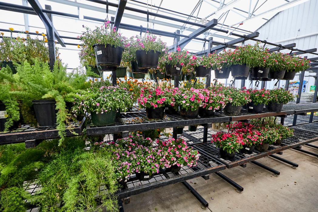 Garden Center Wide Shot
