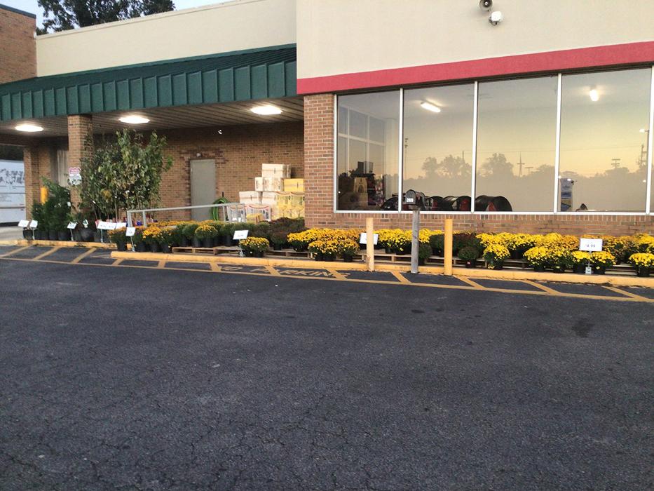 Tractor Supply Co. Logo