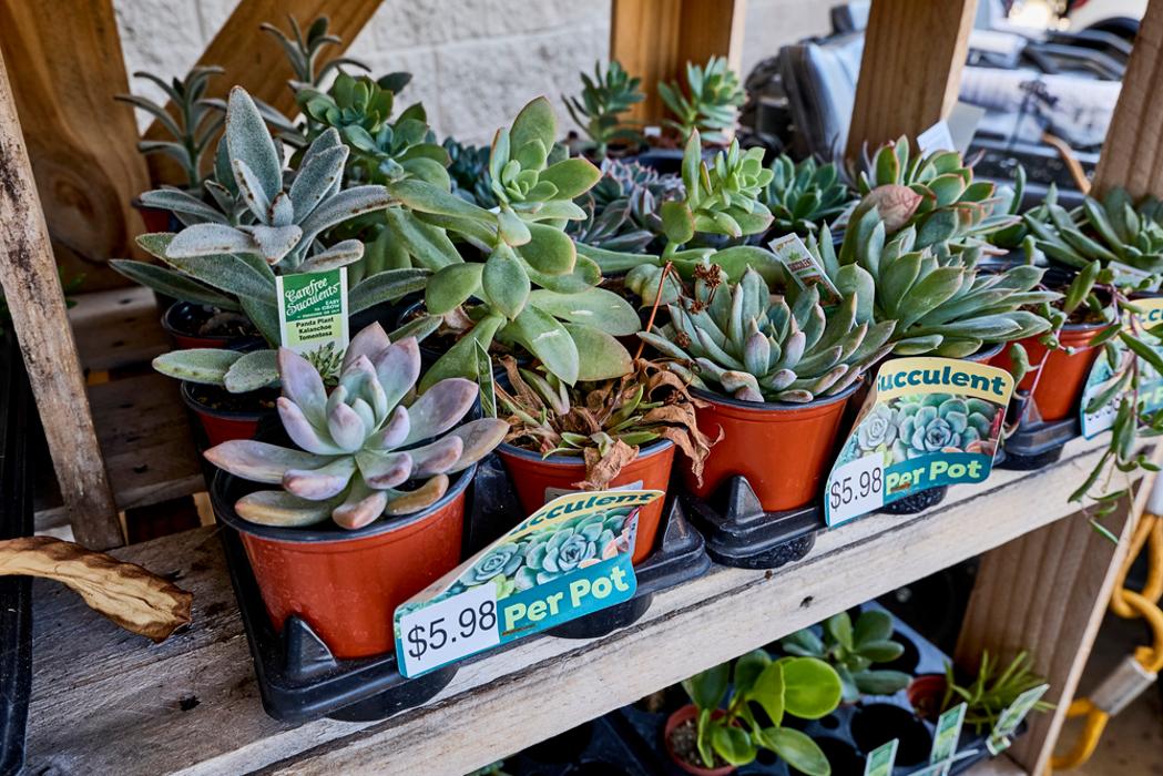 Tractor Supply Co. Image