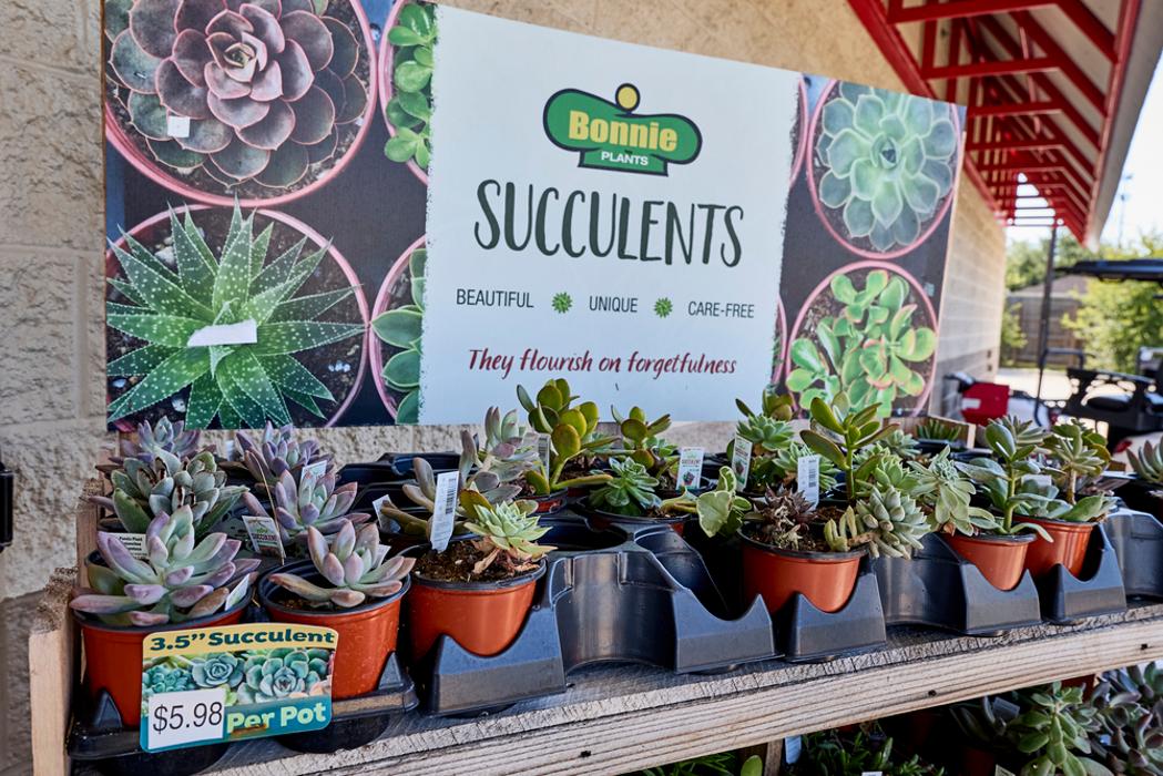 Tractor Supply Co. Image