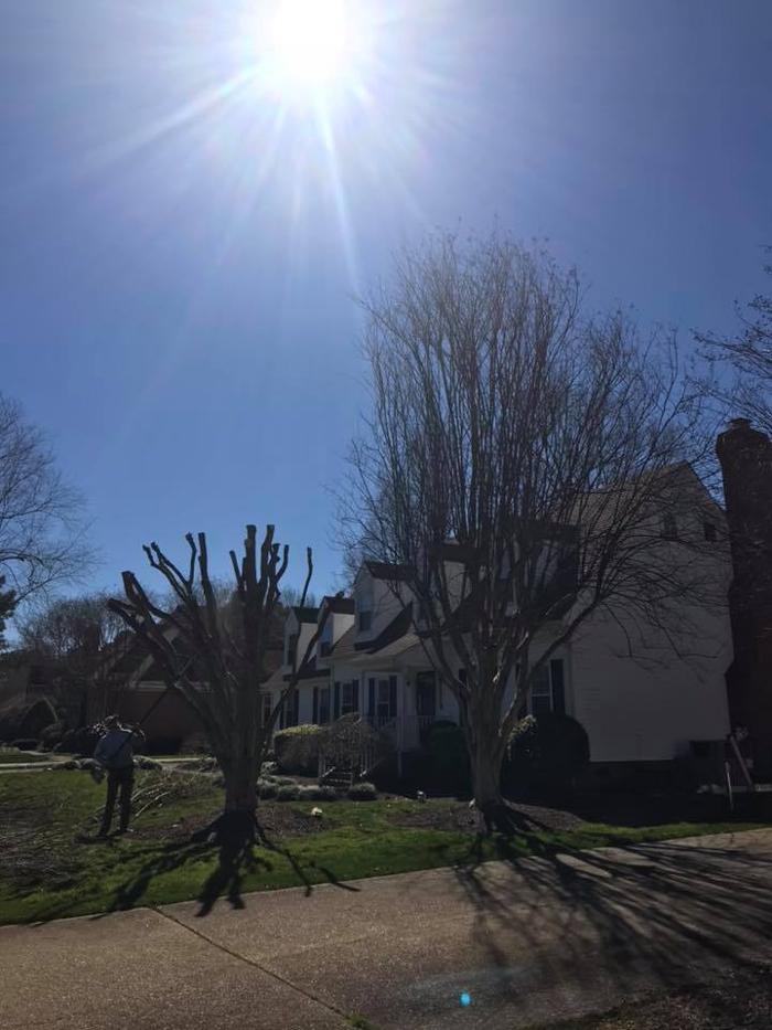 Urban Landscaping and Tree Care - Englewood, CO