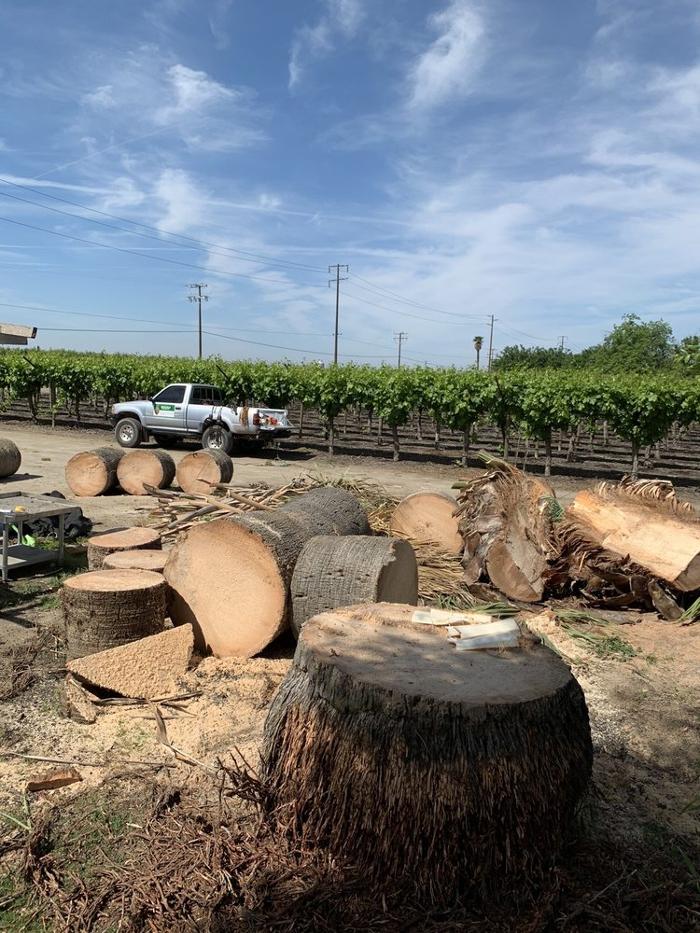 Urban Landscaping and Tree Care - Englewood, CO