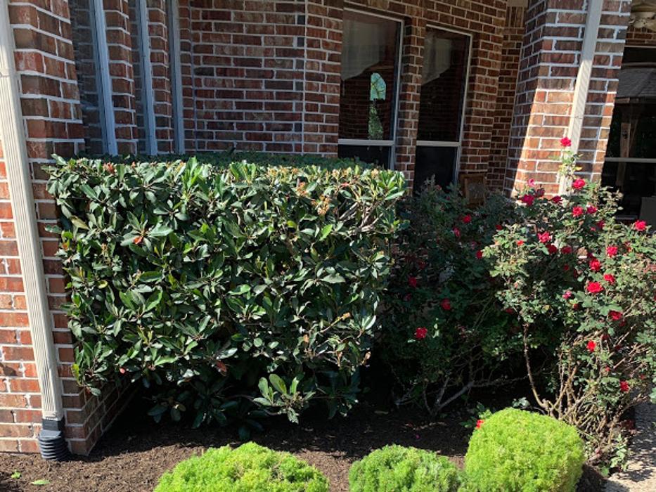 Arctic Green Landscaping - Hockley, TX