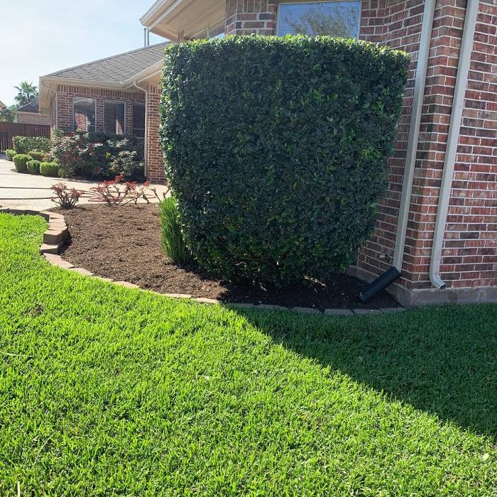 Arctic Green Landscaping - Hockley, TX