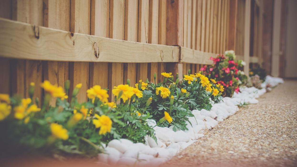 Arctic Green Landscaping - Hockley, TX