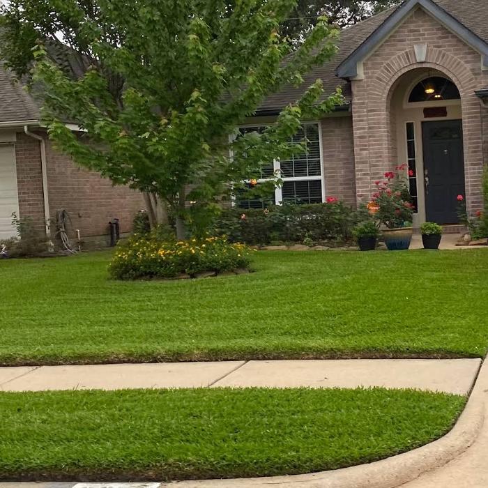 Arctic Green Landscaping - Hockley, TX