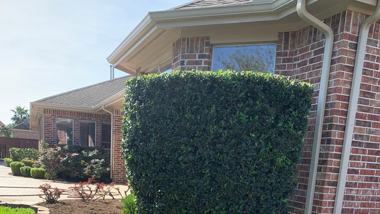 Arctic Green Landscaping - Hockley, TX