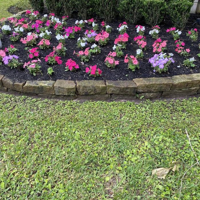 Arctic Green Landscaping - Hockley, TX