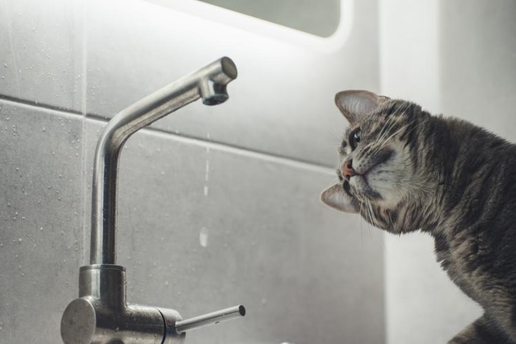CSJ Plumbing Repair - Chehalis, WA