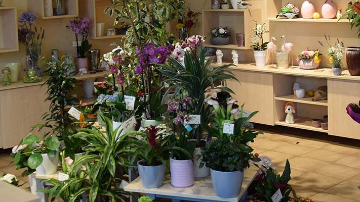 Blumenhaus Lutz, Mucher Straße in Ruppichteroth