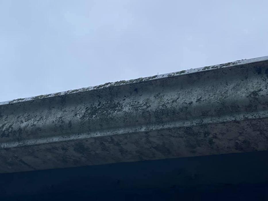 Twenty Twenty Services - Manly, IA