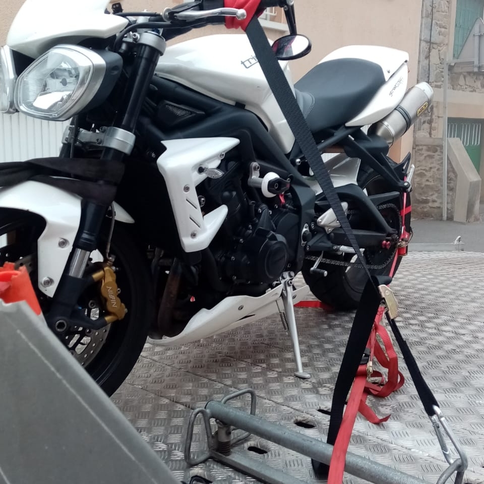 Miniature de la galerie