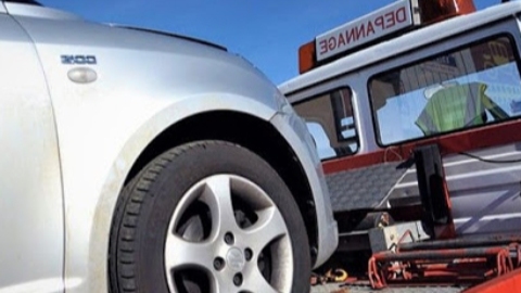 Miniature de la galerie