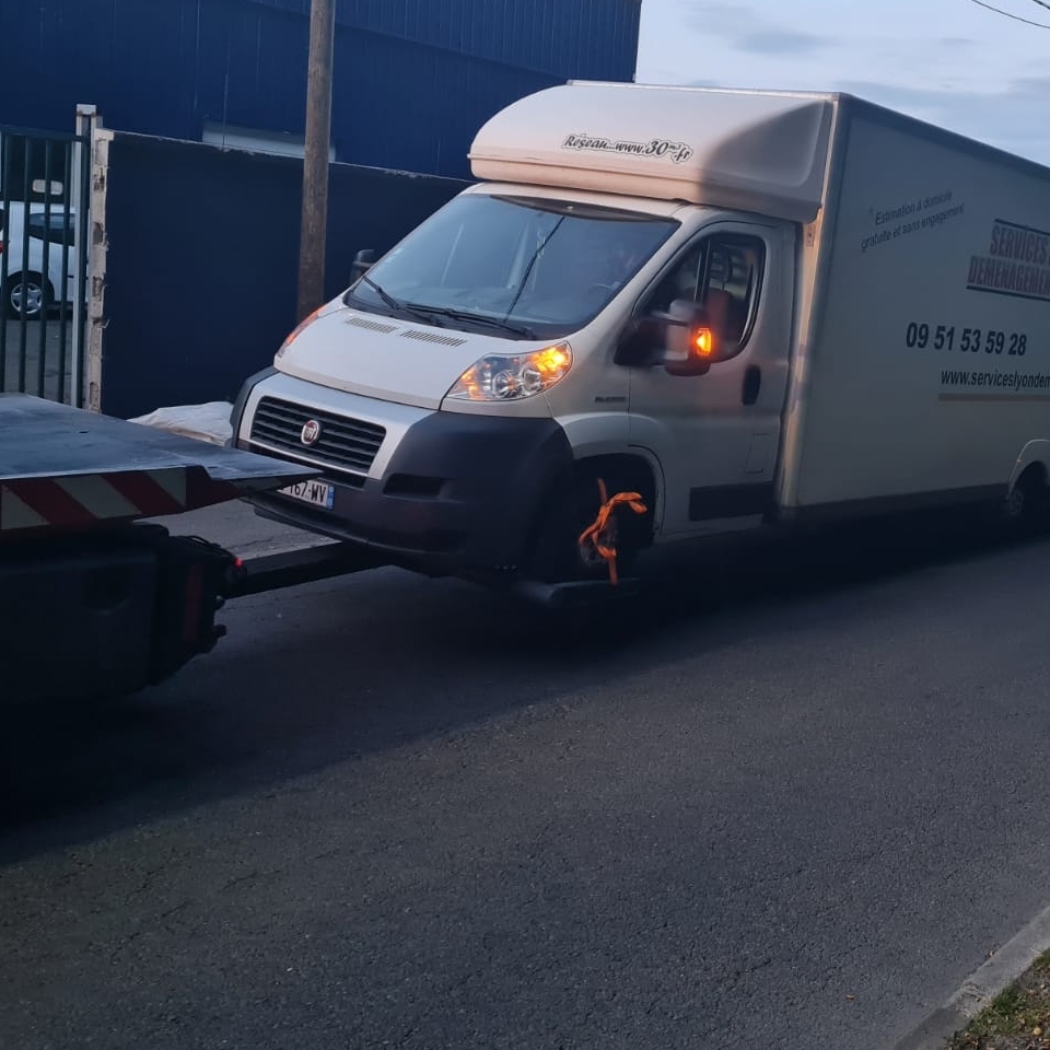 Miniature de la galerie