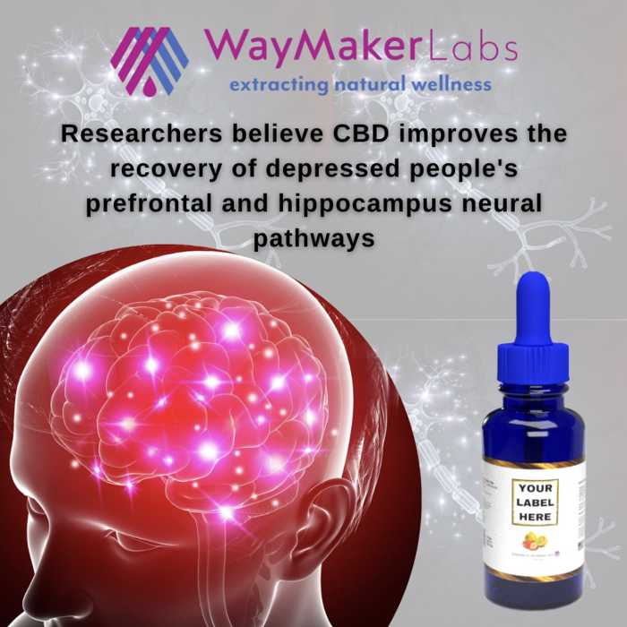 WayMaker Labs - Cleburne, TX