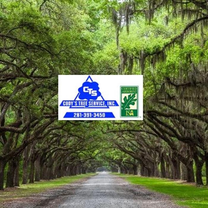 Cody's Tree Service, Inc. - Katy, TX