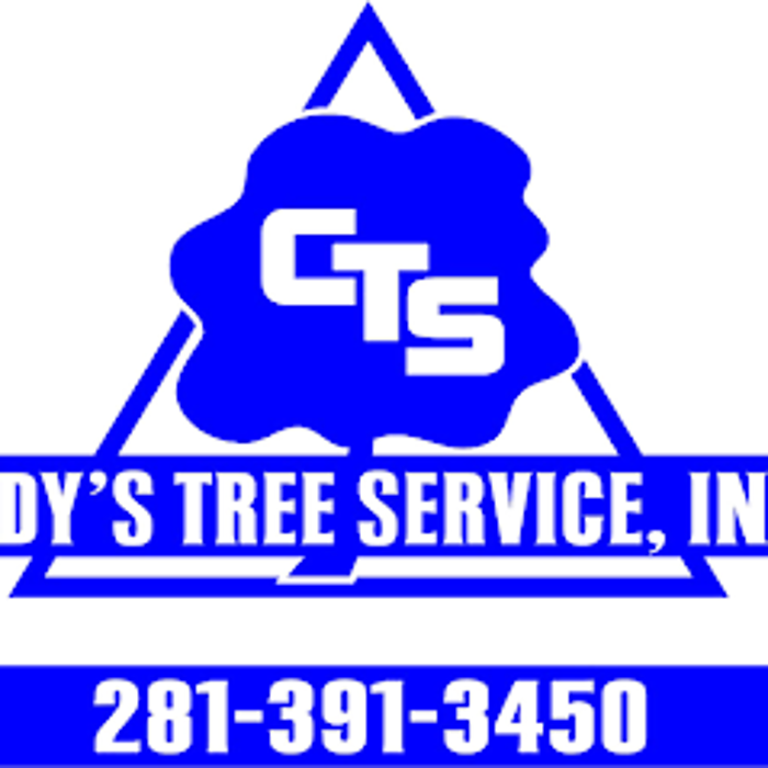 Cody's Tree Service, Inc. - Katy, TX