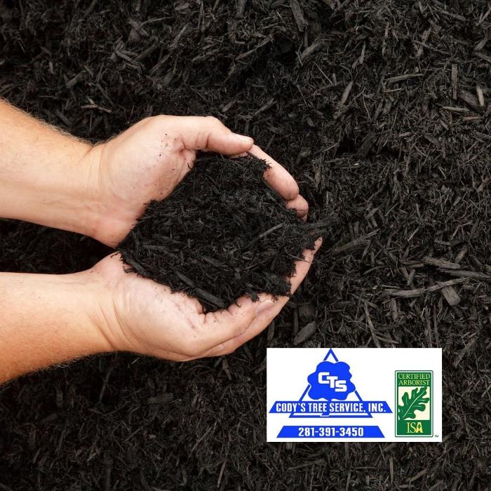 Cody's Tree Service, Inc. - Katy, TX