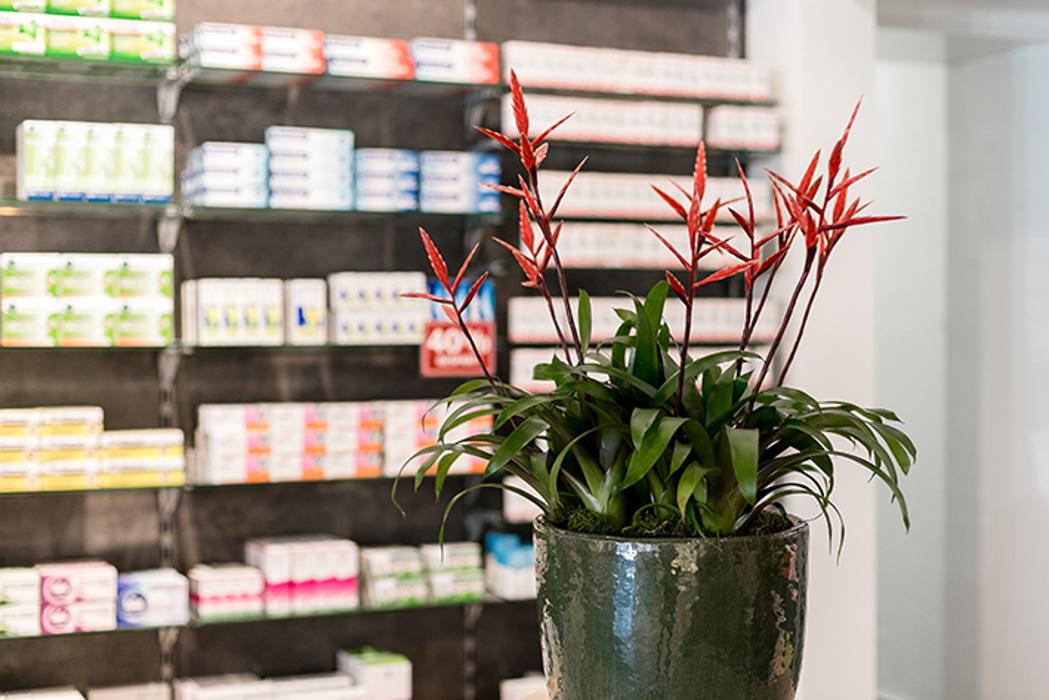 Apotheke am Rott, Auf dem Rott in Ladbergen