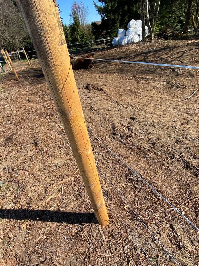 Short Go Fence - Auburn, WA