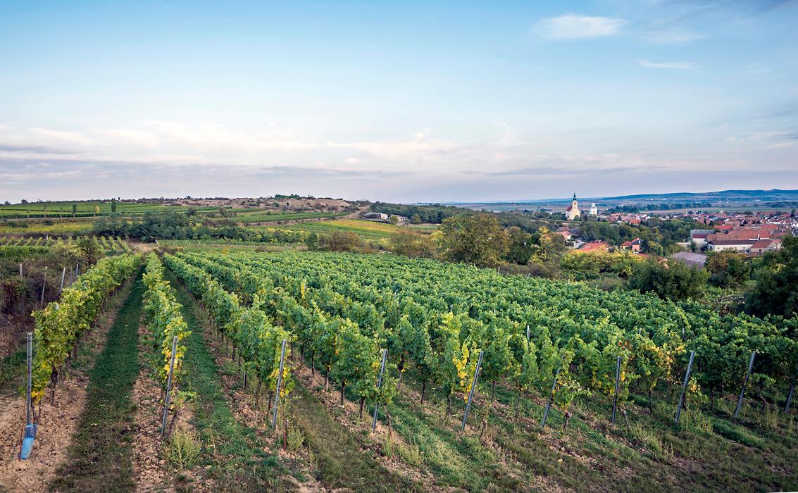 Respiz-Hof Kölbl, Winzerstraße in Röschitz